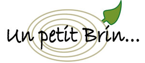 Logo Un Petit Brin