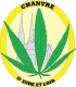 Logo Le Chanvre D' Eure-et-loir