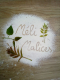 Logo Méli Malices