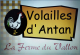 Logo Volailles D'antan