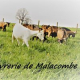Logo La Chevrerie De Malacombe