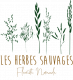 Logo Les Herbes Sauvages