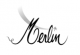 Logo Domaine Merlin