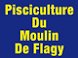 Logo Moulin de Flagy