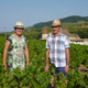 Logo Domaine Burnichon