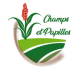 Logo Champs Et Papilles