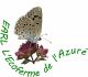 Logo Earl L'ecoferme De L'azuré