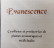 Logo Evanescence