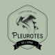 Logo Pleurotes De L'orne