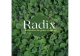 Logo Radix