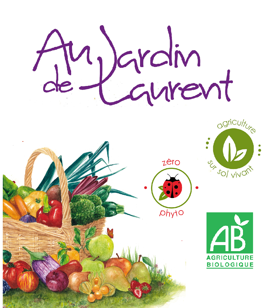 Courgettes jaunes, moyennes, plein champ - 1 kg - Au Jardin De Laurent ...