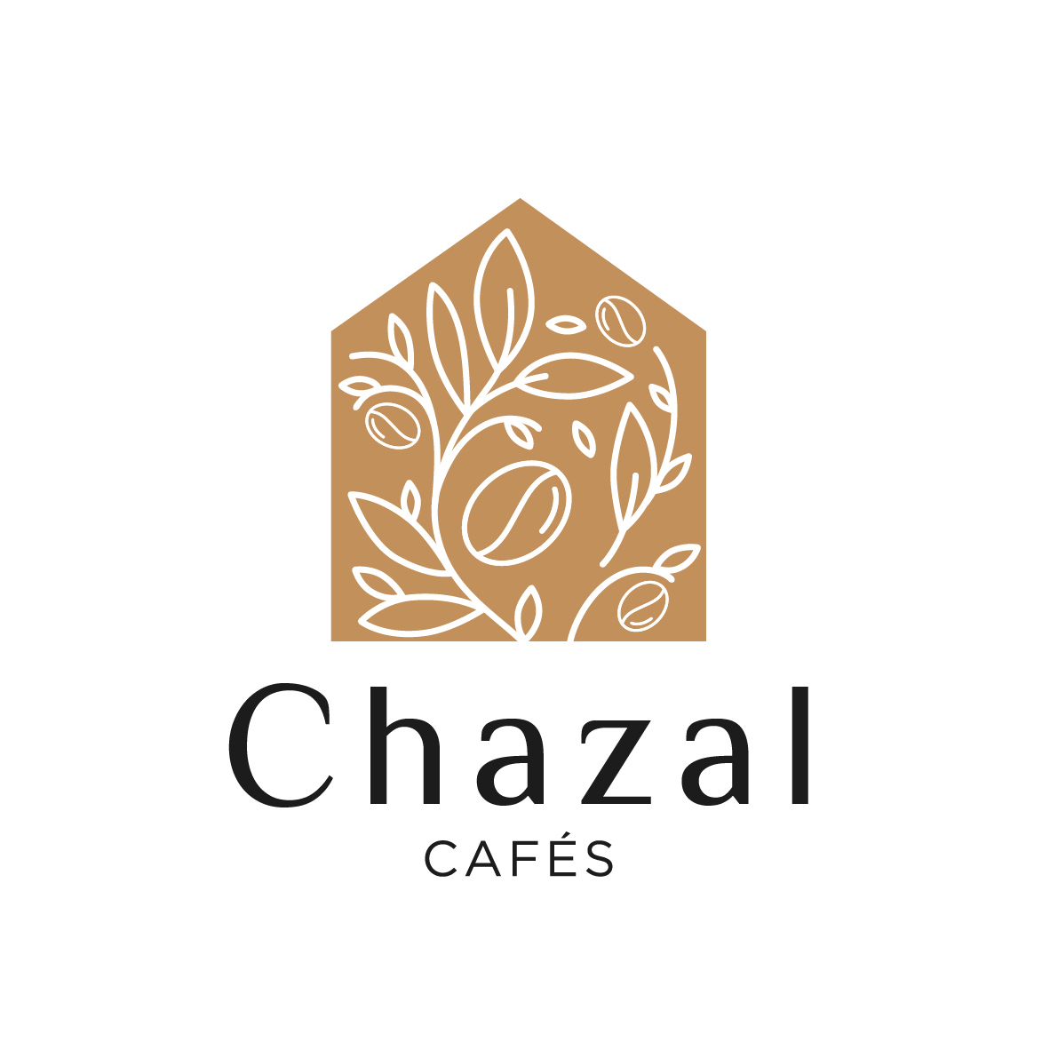 Assortiment 3 cafés grains - 3 u - Chazal Cafés 