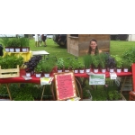 Logo La Serre Aux Aromates