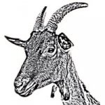 Logo La Ferme De Roch Conan