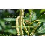 Logo Le Rucher Du Muret