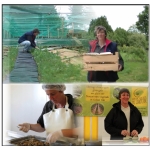 Logo Les Escargots Du Limousin