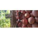 Logo L'hortellerie Planteureuse