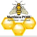 Logo Matthieu Pohu Apiculteur