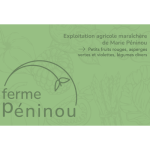 Logo Péninou Marie