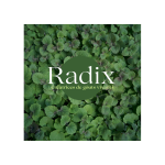 Logo Radix