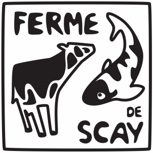 Ferme De Scay, Vaches Laitières Et Pisciculture