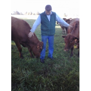 Francis Munier Elevage Veau Bio