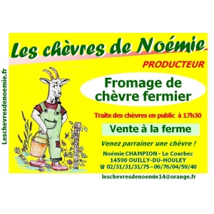 Les Chèvres De Noémie