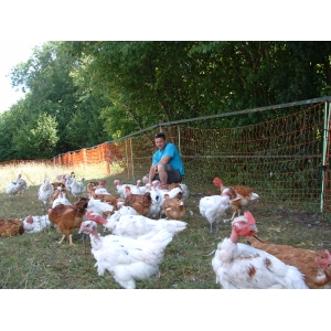 Haras De La Maison Du Bois