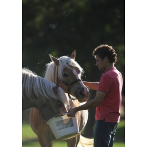 Haras De Rocquigny - Lait De Jument