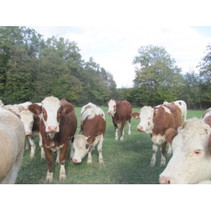Gaec Ferme Du Colombier
