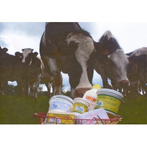 Earl De La Croix L'abbe