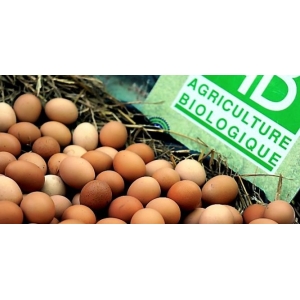 Patin Cyrille, éleveur Bio