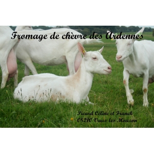 Picard Céline & Franck