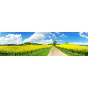 Ferme Du Clos De La Mare