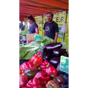 Les Jardins De Chloé