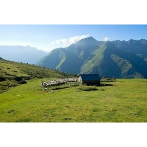 Gaec Lagues     Ferme Des Hourcades