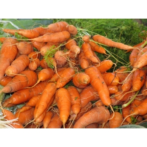 Lansac  Christian Et Martine