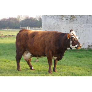 La Ferme De Courcelles