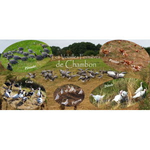 Les Volailles Fermières De Chambon
