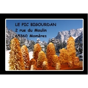 Le Pic Bigourdan