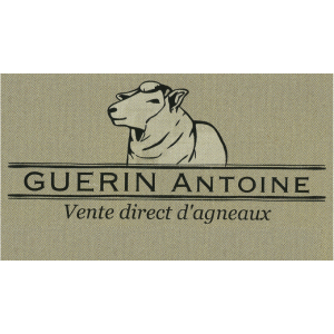 Guerin Antoine