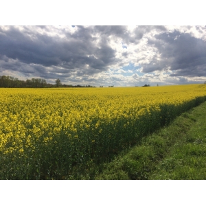La Ferme Du Moulinat