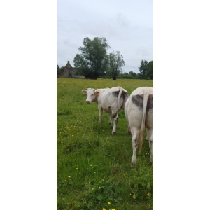 Edwige Et Bruno Drouin