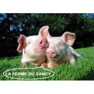 Ferme Du Sancy