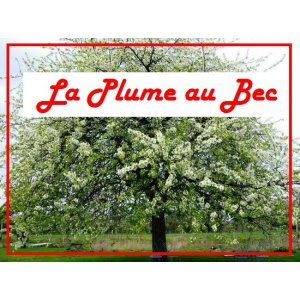 La Plume au Bec