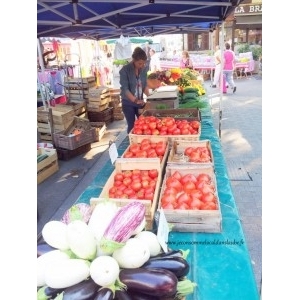 La Fille Du Maraicher