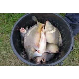 Scea Les Archenières