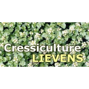 Cressiculture Lievens