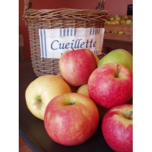 Les Vergers De L'ilon