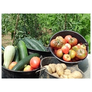 Pascale Allaguillaume